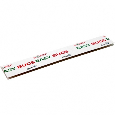 InPest Easy Bugs 10 Pz