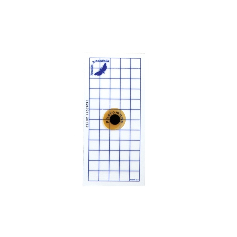 InPest Geo Pad Blu 10 Pz