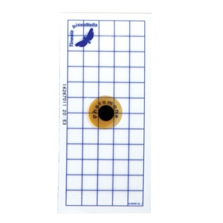 InPest Geo Pad Blu 10 Pz
