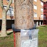 Bleu Line Collare Bruco della Processionaria del Pino 210 cm