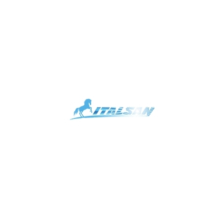 Italsan
