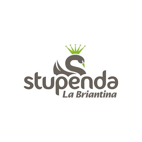 Stupenda